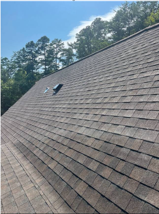 Wide view of a gray shingle roof surrounded by tall pines